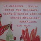 KULKEMATON RUNOKORTTI SARI PELHO KULTAKIMALLETTA KUKISSA - pikkukuva 2