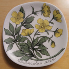 Arabian seinälautanen "Niittyleinikki", design Esteri Tomula - pikkukuva 1