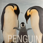 FRANS LANTING: PENGUIN - TASCHEN - pikkukuva 1