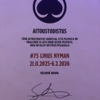 Porin Ässät Game Worn Pelipaita - Nyman #75 - Kausi 25/26 - pikkukuva 3