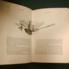 Ylänne: POHJOLAN KALAVESILTÄ (2.p.1966) Sis.postikulut - pikkukuva 3