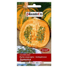 Kurpitsansiemenet "Junona" HUOM PÄiVÄYS! Ale -30%# - pikkukuva 1