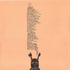 The Shins – Port Of Morrow - pikkukuva 4