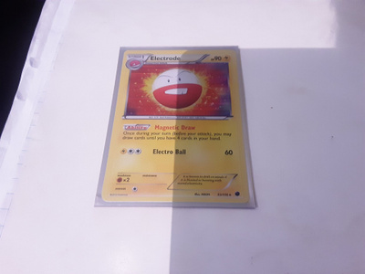 Electrode 33/116