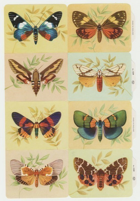 *MLP no 1259, upeat perhoset-arkki, oikea *
