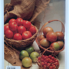 Mary-Lou Arnold : The Amazing Tomato Cookbook - pikkukuva 2