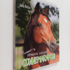 Sofia Wallin : Pennyn kaveri : connemaraponi - pikkukuva 1