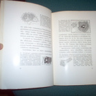 Gustaf Strengell: Kaupunki taideluomana (1.p.1923) Sis.pk:t - pikkukuva 4