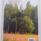 Salme Kuusela : Piikanen pientareella (signeerattu, tekij... - pikkukuva 2