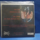 HORNA - VUOHIPAIMEN M/M SOITTAMATON GER 2004 EP #COPY 7" - pikkukuva 2