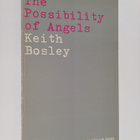 Keith Bosley : The possibility of angels (signeerattu, te... - pikkukuva 1