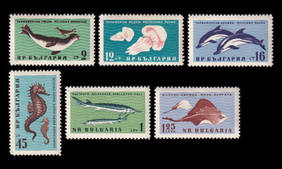 Bulgaria 1243-8 ** Mustanmeren eläimet (1961)