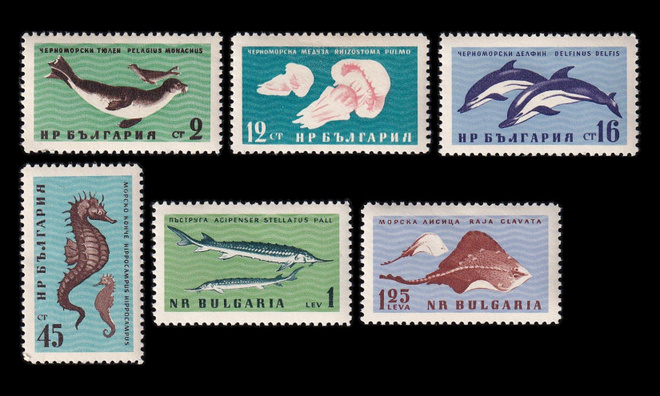 Bulgaria 1243-8 ** Mustanmeren eläimet (1961)