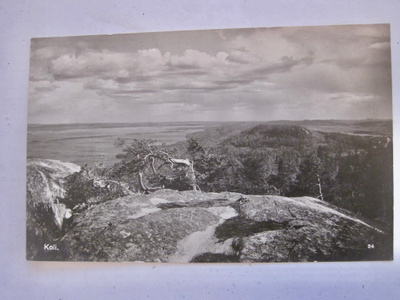 VANHA Postikortti Koli 1930-l
