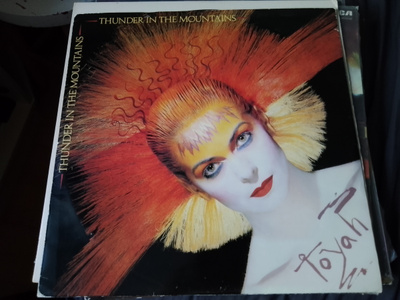 Toyah - Thunder in the mountains