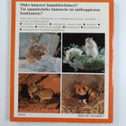 Helga Fritzsche : Hamsterit - pikkukuva 2