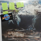 JOHN FRUSCIANTE - THE EMPYREAN UUSI 2 LP - pikkukuva 1