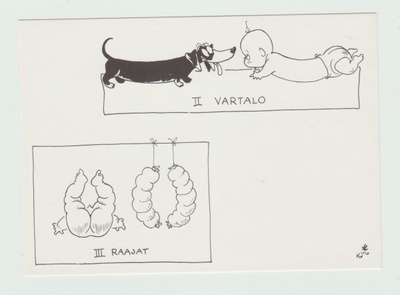 Kari Suomalainen : Vauvan anatomia  II  ja III   (R)
