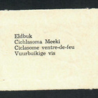 ALE - EO 5806 - Nelkku - Kauniit kalat 9 - Agathon!!! - pikkukuva 2