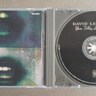 CD: David Lee Roth - Your Filthy Little Mouth (1994) - pikkukuva 3