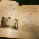 Forrest C. Allen: BETTER BASKETBALL (1937) Sis.postikulut - pikkukuva 5