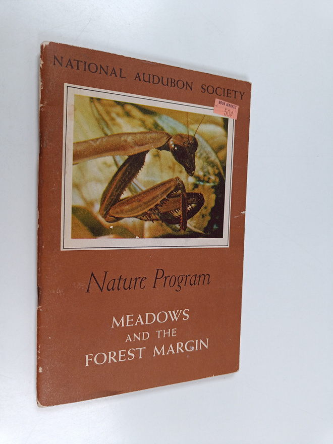 William Hopkins Amos : Meadows and the Forest Margin