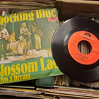 Shocking Blue vinyylisingle - pikkukuva 2