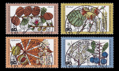 Berlin 607-10 o Puiden kukkia ja marjoja EPL (1979)