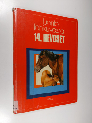 Neil Thomson : Hevoset