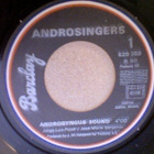 ANDROSINGERS :: ANDROGYNOUS SOUND / THEME :: VINYYLI 7" 1977 - pikkukuva 3