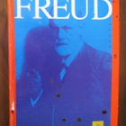 Peter Gay: Freud - pikkukuva 1