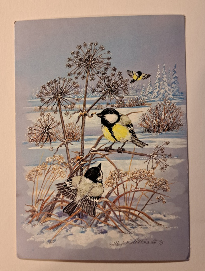 M-L.Pitkäranta: talvilinnut syömässä, kulkenut 1995