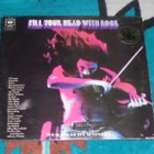 V/A Fill Your Head With Rock ~ 2 LP - pikkukuva 1