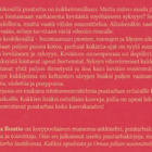 Saila Routio: Kukkaloistoa keväästä syksyyn - pikkukuva 3