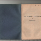 Ahlqvist: Tio sånger ur Kalevala med Ordbok, Edlund 1883, K3 - pikkukuva 2