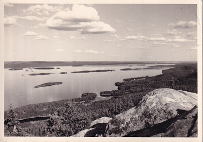 KOLI KULKENUT YLÄKOLI RIVILEIMALLA