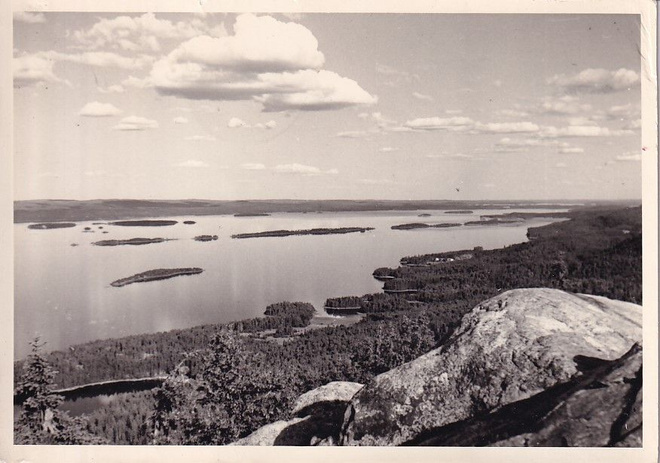 KOLI KULKENUT YLÄKOLI RIVILEIMALLA