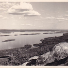 KOLI KULKENUT YLÄKOLI RIVILEIMALLA - pikkukuva 1