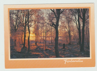 Tauno Korhonen : FINLANDIA , metsäinen maisema (T)