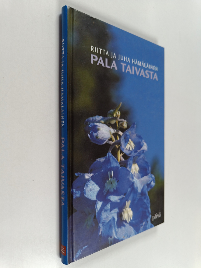 Riitta Hämäläinen : Pala taivasta