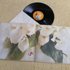JANE - Between Heaven And Hell LP - pikkukuva 2