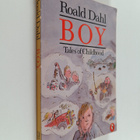Roald Dahl : Boy : tales of childhood - pikkukuva 1