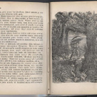 Defoe: Oikean Robinson Crusoe'n .. sid.2.p 1875 KATSO!! - pikkukuva 4