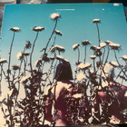 The Creatures: Boomerang 1989 LP Siouxsie - pikkukuva 1