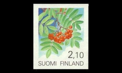 1123B ** Pihlaja tarramerkki (1991)
