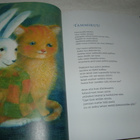 Tiitinen - Tiitinen Opri-kissan onnenvuosi - pikkukuva 2