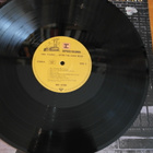 Neil Young:After the Gold Rush LP - pikkukuva 4