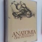 Jenö Barcsay : Anatomia : opas taiteilijalle - pikkukuva 1