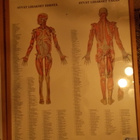 FYSIOTERAPIA TAULU - pikkukuva 2
