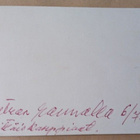 Imatra, retkeläiset rannalla 6.7.1939, vkpk, ei p. - pikkukuva 2